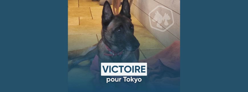 Victoire pour Tokyo