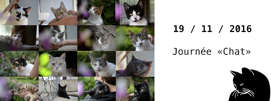 Journée CHAT