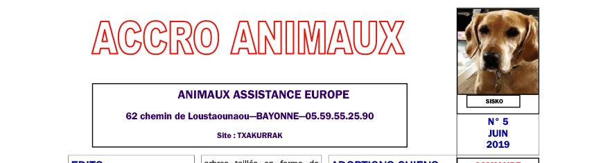 Accro Animaux de juin 2019 est sorti !