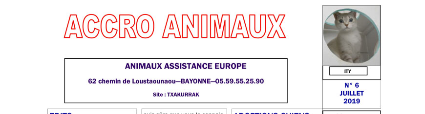 Accro Animaux de juillet 2019 est sorti !