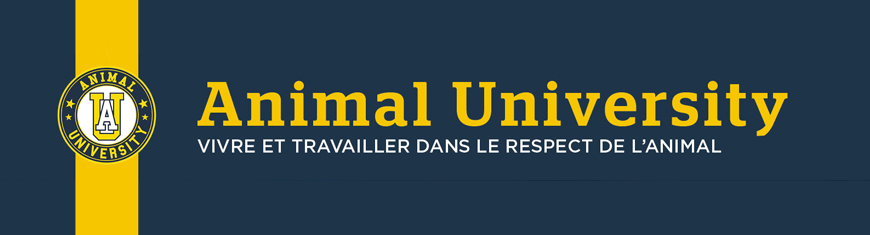 Formations pratiques Animal University