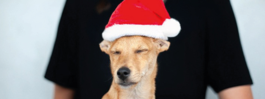 Grande campagne solidaire jusqu'au 31 décembre 2025