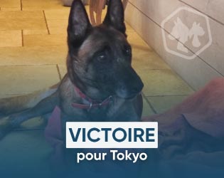 Victoire pour Tokyo
