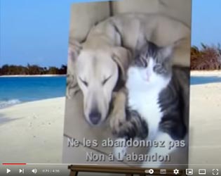 Une petite chanson...