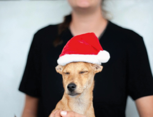 Grande campagne solidaire jusqu'au 31 décembre 2025