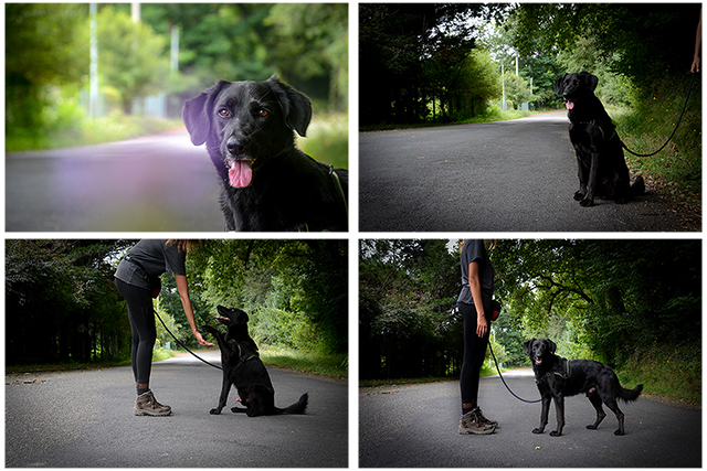 Diabolo