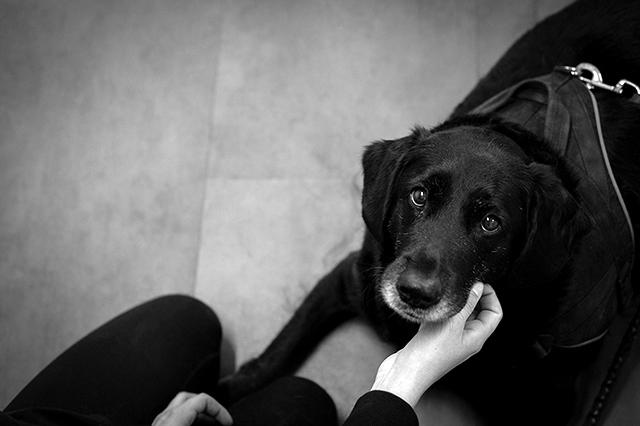 Babou