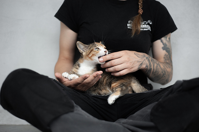 Nala