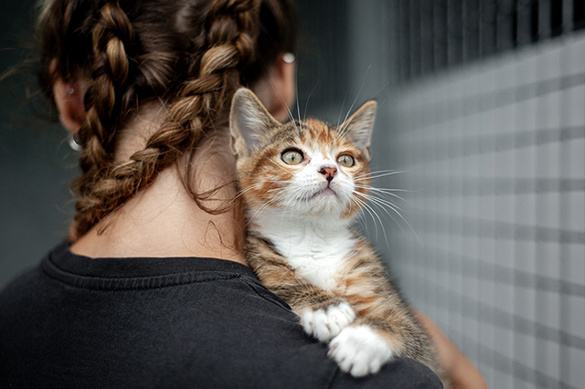 Nala