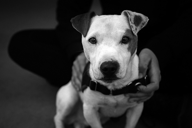 Ugo