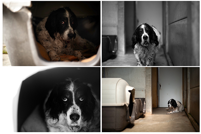 Cooper