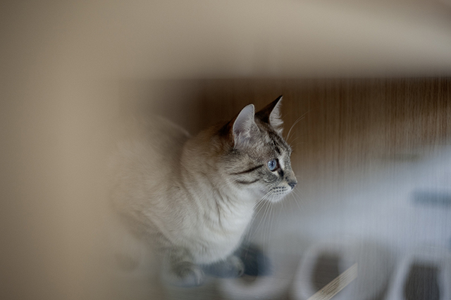 Yuka