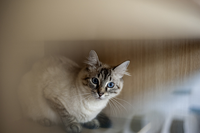 Yuka