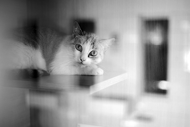 Chloé